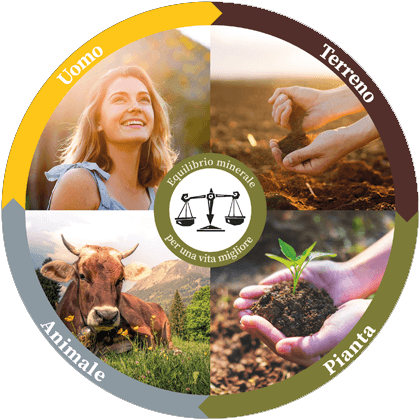 Come acquistare Reico